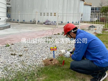 大塘工業(yè)廠區(qū)紅火蟻防治
