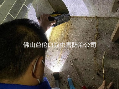 云東海房屋白蟻防治