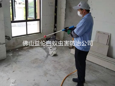 平洲新裝修房屋預防白蟻