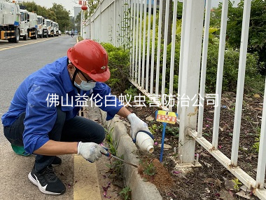 蘆苞鎮(zhèn)街道防治紅火蟻