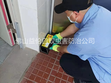 樂平鎮(zhèn)安裝粘鼠板工程