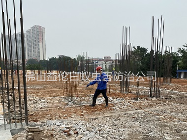 云東海白蟻公司新建預防白蟻