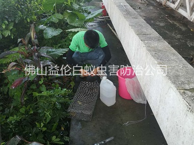 樂平蟲控公司進行捕蛇