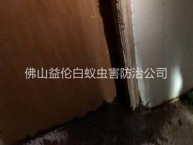 范湖倉庫蟻害防治
