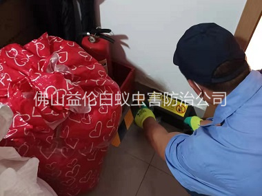 蘆苞工廠安裝粘鼠板