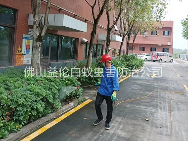 蘆苞環(huán)境蚊蠅防控工程