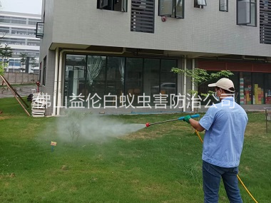 大塘消殺蚊蟲(chóng)害工程