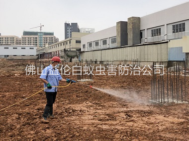 三水新建白蟻預(yù)防工程