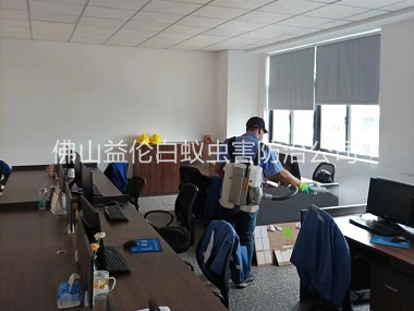 金本室內(nèi)消殺蚊蟲工程