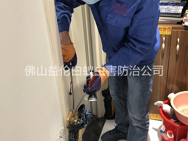 樂平上門防治白蟻工程