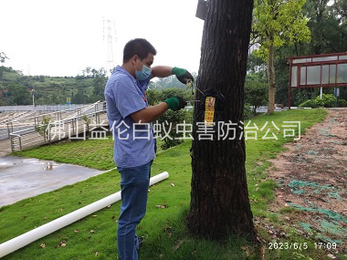 六和園林綠化滅治白蟻