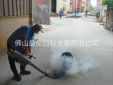 西南街道消滅蚊蟲工程