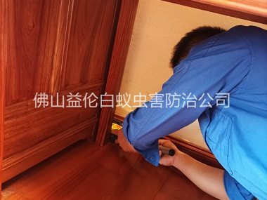蘆苞木質(zhì)家具白蟻防治工程
