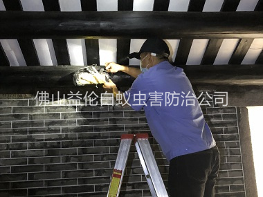 逕口祠堂殺滅白蟻工程