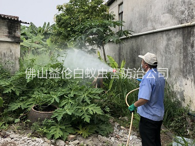 樂(lè)平社區(qū)消滅蚊子工程