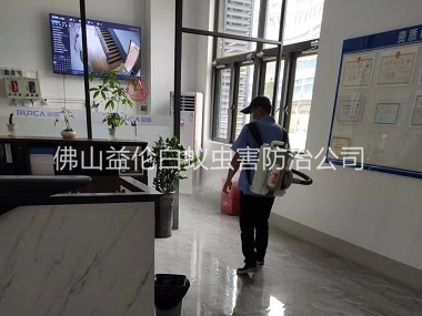 大塘室內(nèi)殺滅蚊蠅工程