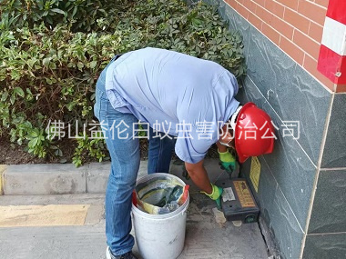 云東海安裝滅鼠器工程